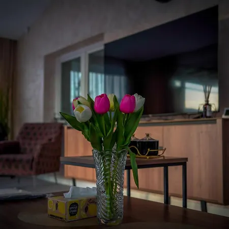 Relax House Ibrahimovic *